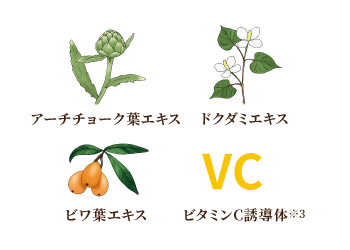 毛穴ケア対応の植物エキスとビタミンC イメージ